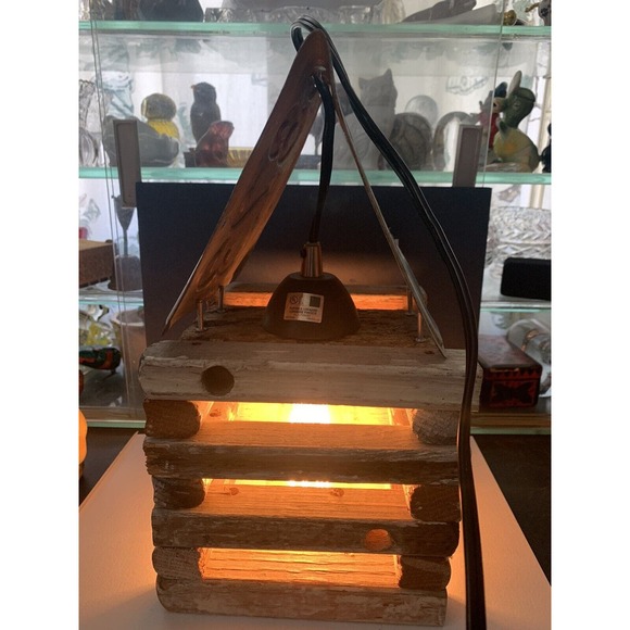 Cabin / Camping /Oregon License Plate Swag Light/Lamp With Edison Bulb - Picture 6 of 9